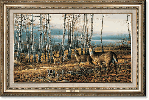 Framed Birch Line Encore Canvas (image for) Framed Birch Line Encore Canvas